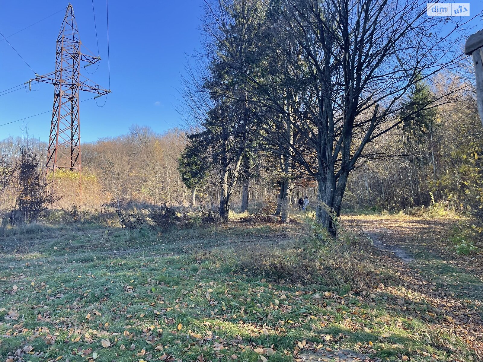 Земельна ділянка сільськогосподарського призначення в Зарванцях, площа 35 соток фото 1
