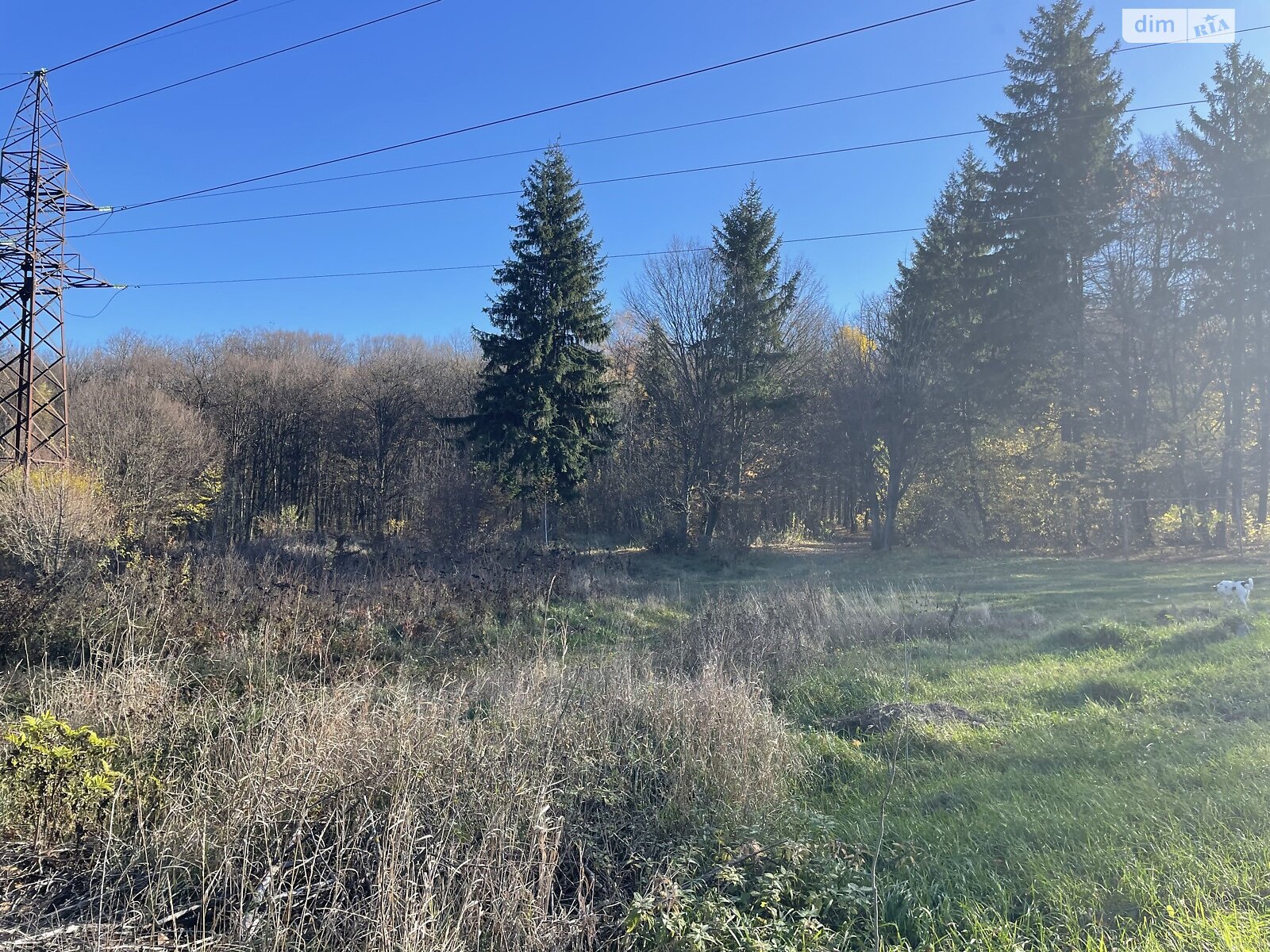 Земельна ділянка сільськогосподарського призначення в Зарванцях, площа 35 соток фото 1
