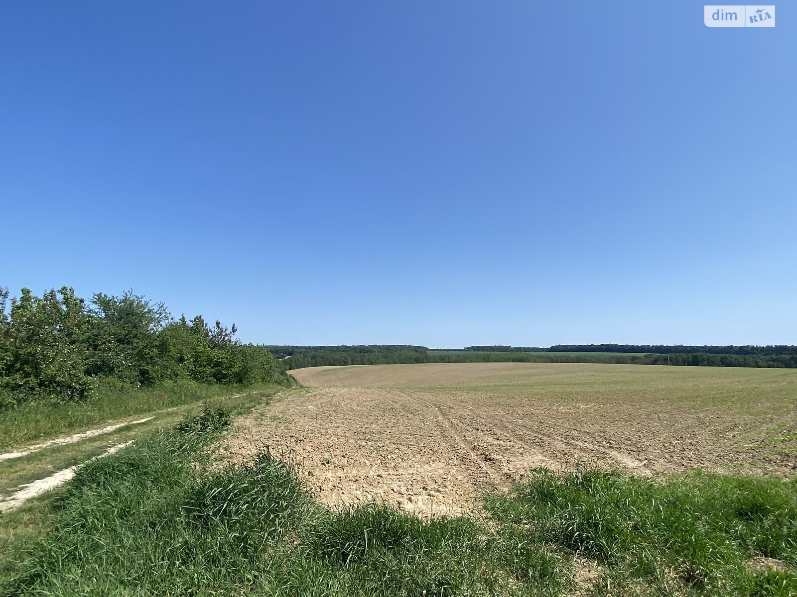 Земельный участок сельскохозяйственного назначения в Зарванцах, площадь 264 сотки фото 1