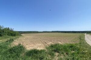 Земельный участок сельскохозяйственного назначения в Зарванцах, площадь 264 сотки фото 2