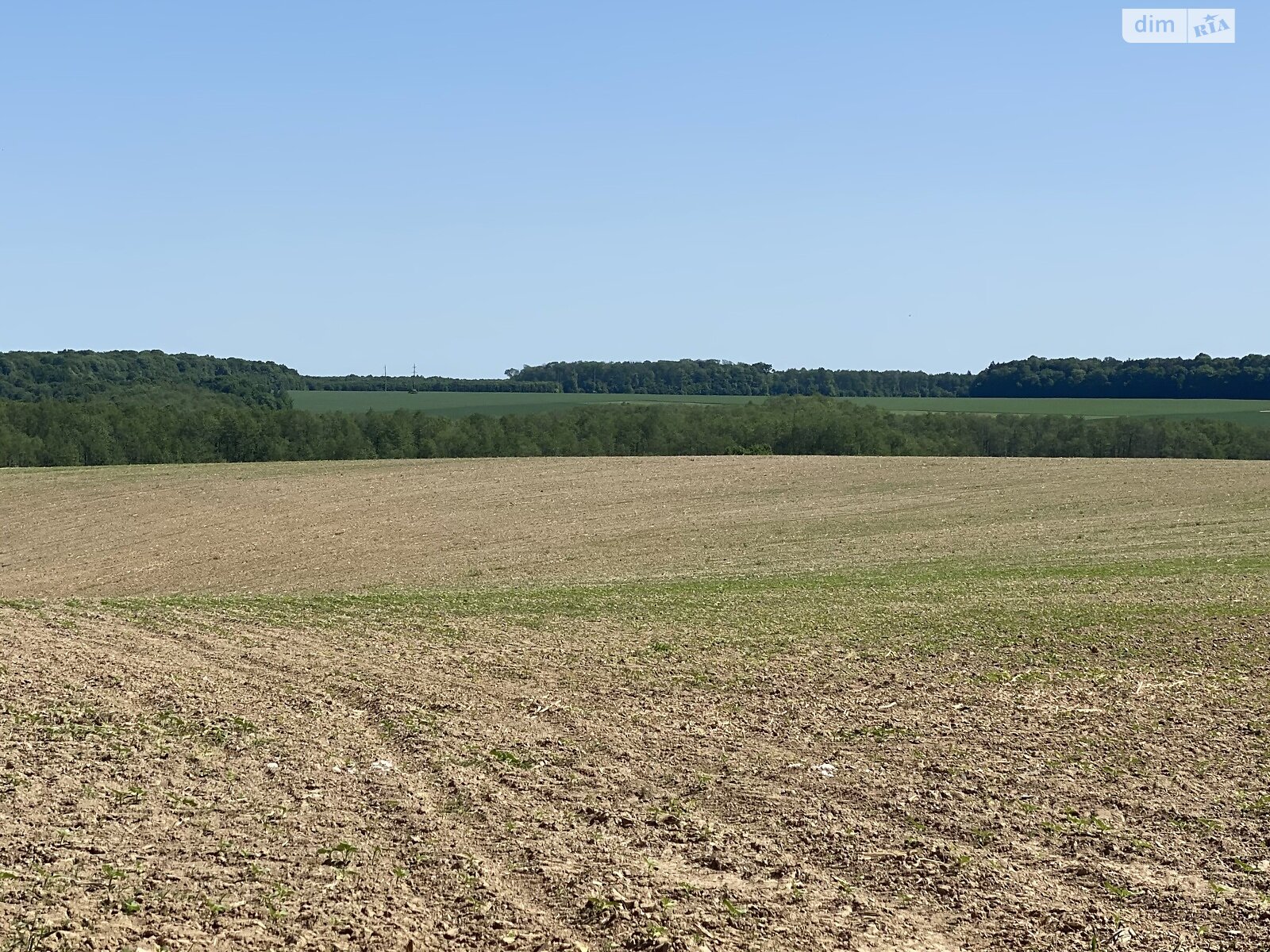 Земельный участок сельскохозяйственного назначения в Зарванцах, площадь 264 сотки фото 1