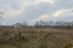 Земельна ділянка сільськогосподарського призначення в Зарванцях, площа 10.5 сотки фото 2