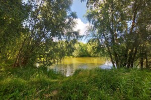 Земельна ділянка сільськогосподарського призначення в Зарванцях, площа 22.5 сотки фото 2