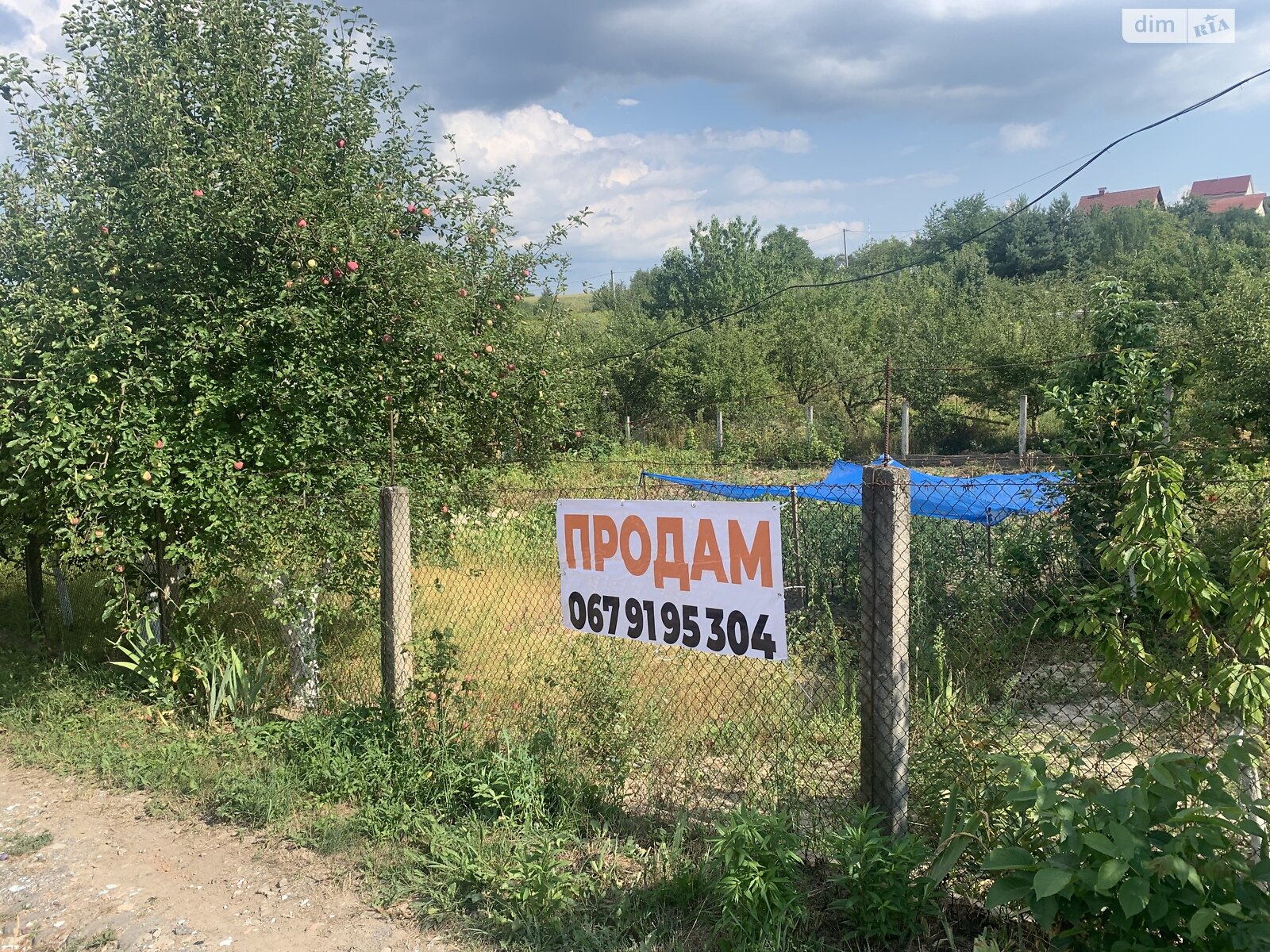 Земельна ділянка сільськогосподарського призначення в Зарванцях, площа 6 соток фото 1 Земельна ділянка сільськогосподарського призначення в Зарванцях, площа 6 соток фото 1