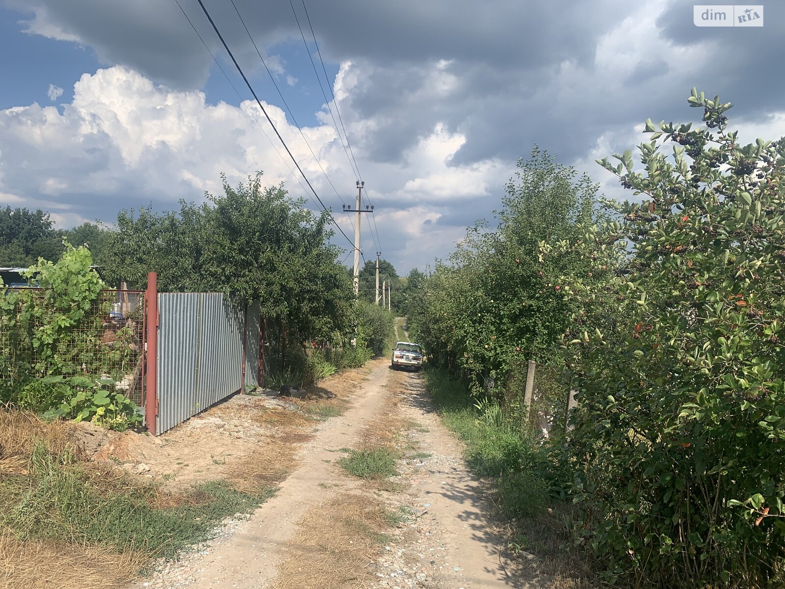 Земельна ділянка сільськогосподарського призначення в Зарванцях, площа 6 соток фото 1 Земельна ділянка сільськогосподарського призначення в Зарванцях, площа 6 соток фото 1