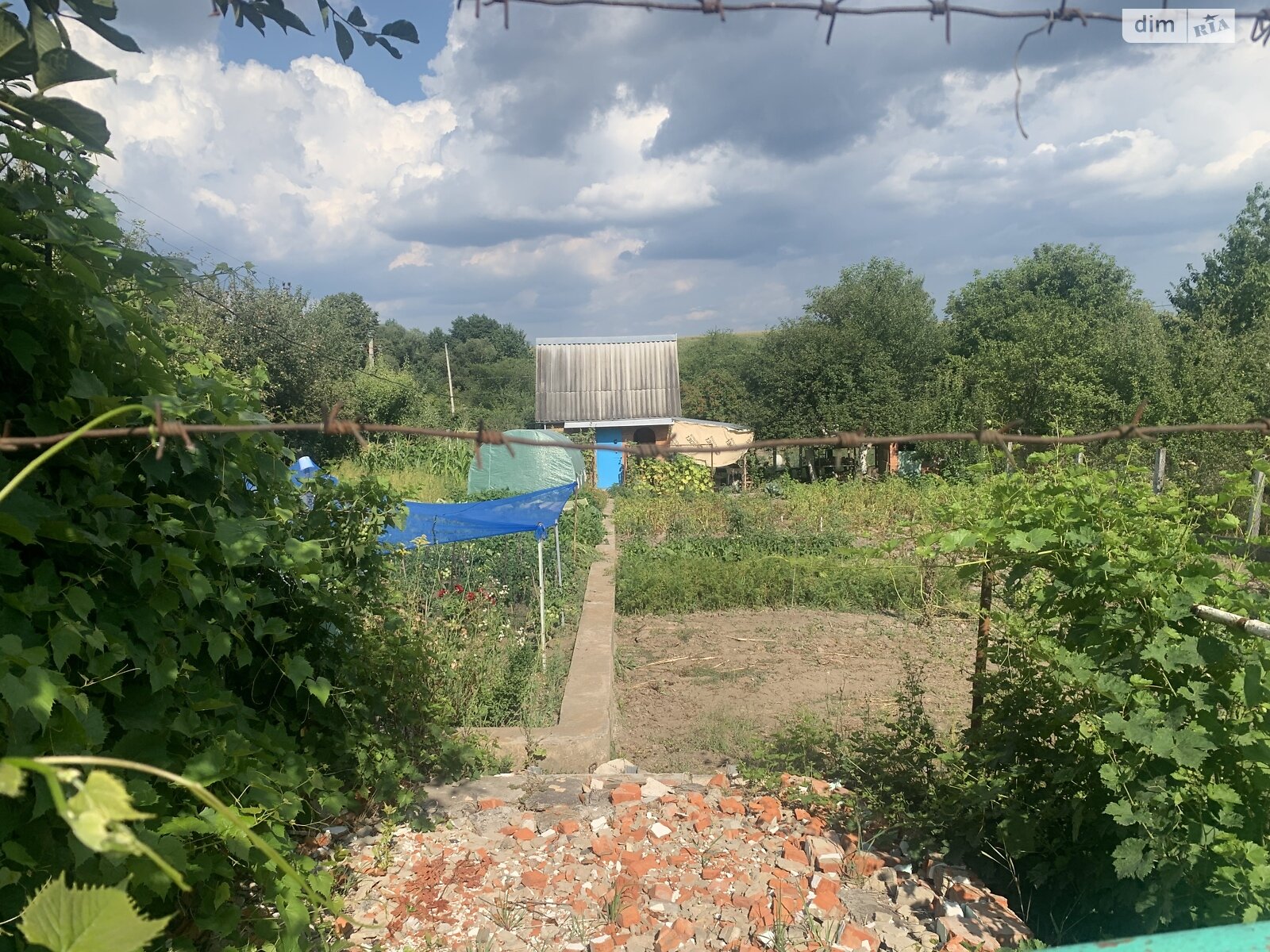 Земельна ділянка сільськогосподарського призначення в Зарванцях, площа 6 соток фото 1 Земельна ділянка сільськогосподарського призначення в Зарванцях, площа 6 соток фото 1