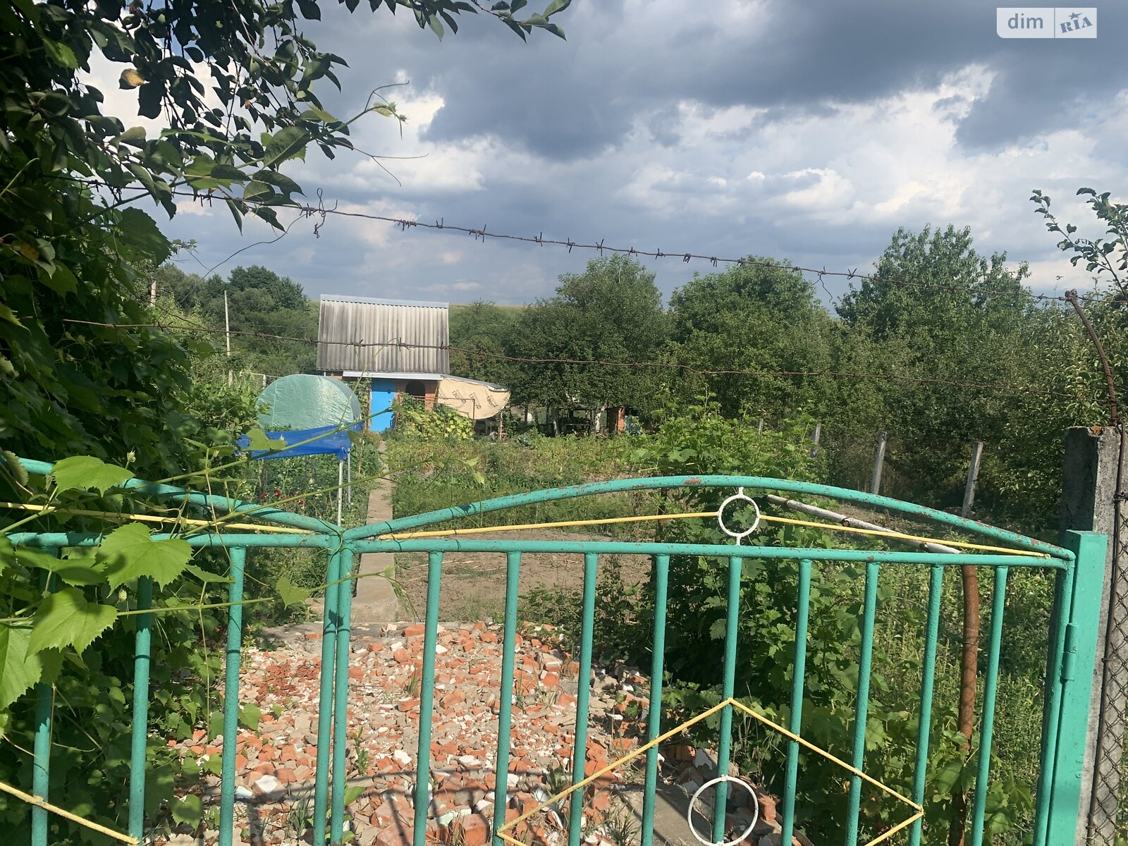 Земельна ділянка сільськогосподарського призначення в Зарванцях, площа 6 соток фото 1 Земельна ділянка сільськогосподарського призначення в Зарванцях, площа 6 соток фото 1