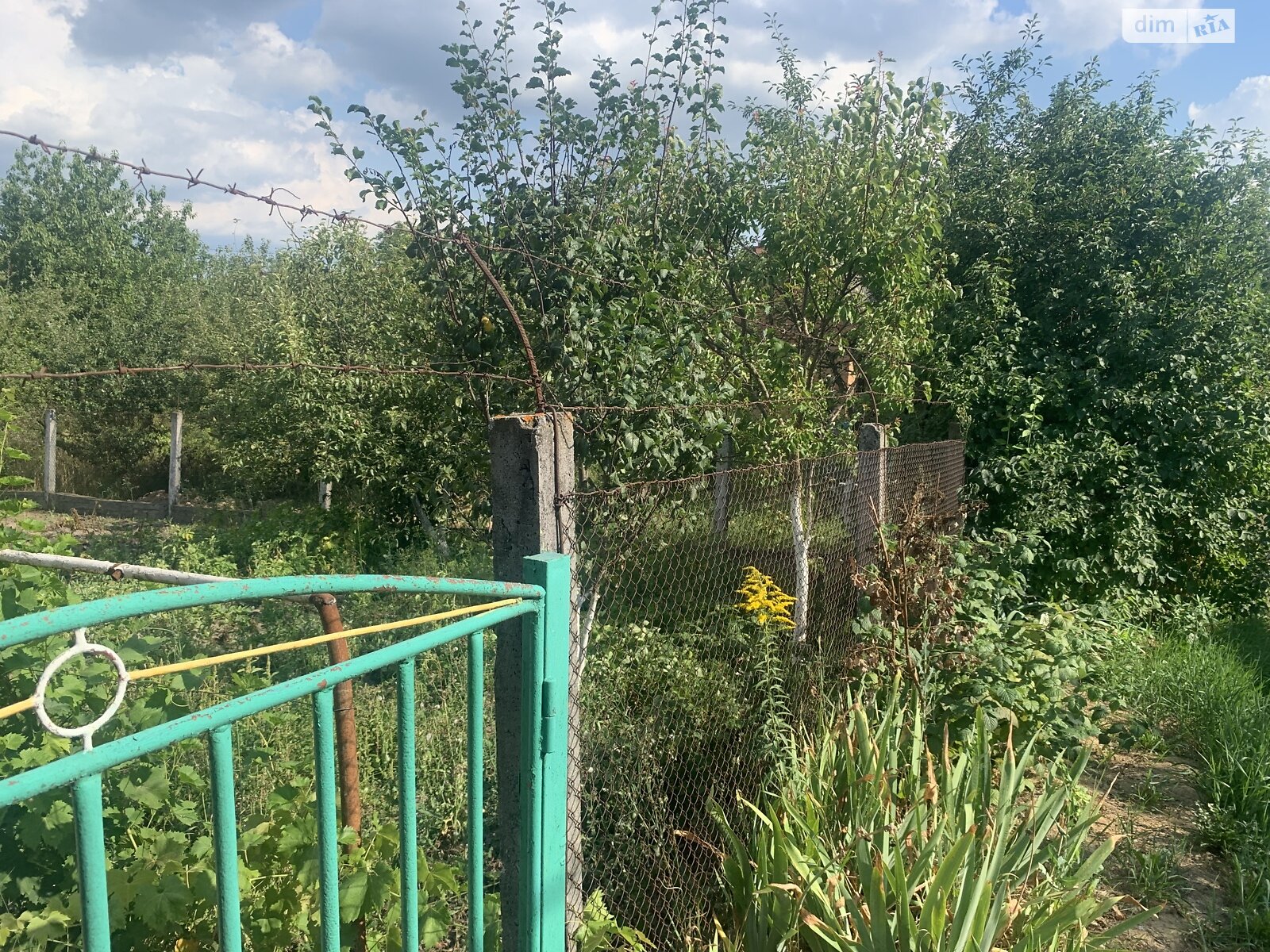 Земельна ділянка сільськогосподарського призначення в Зарванцях, площа 6 соток фото 1 Земельна ділянка сільськогосподарського призначення в Зарванцях, площа 6 соток фото 1