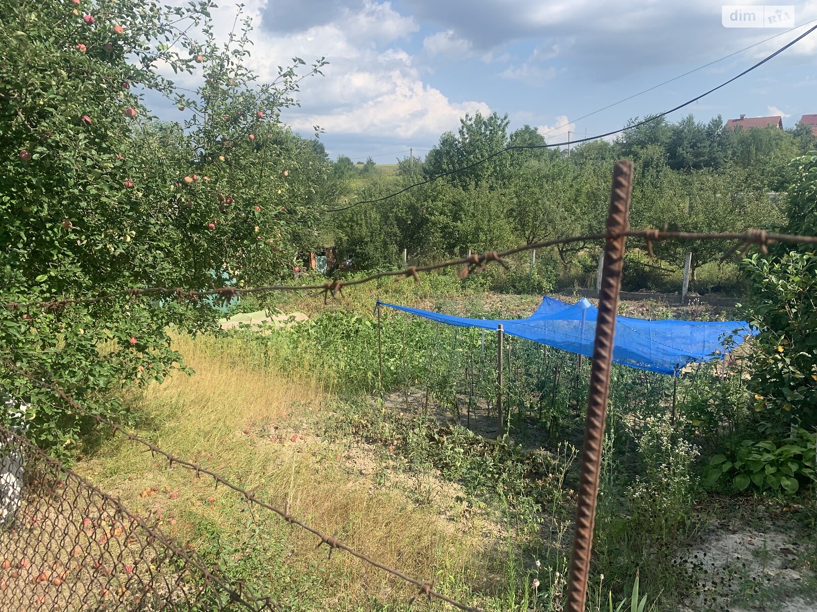 Земельна ділянка сільськогосподарського призначення в Зарванцях, площа 6 соток фото 1 Земельна ділянка сільськогосподарського призначення в Зарванцях, площа 6 соток фото 1