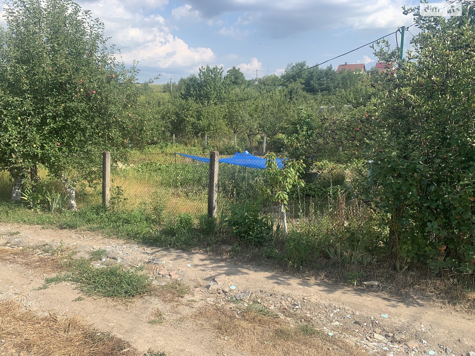 Земельна ділянка сільськогосподарського призначення в Зарванцях, площа 6 соток фото 1 Земельна ділянка сільськогосподарського призначення в Зарванцях, площа 6 соток фото 1