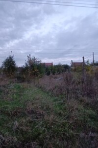 Земельна ділянка сільськогосподарського призначення в Якушинцях, площа 5 соток фото 2