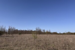 Земельный участок сельскохозяйственного назначения в Зарванцах, площадь 10 соток фото 2