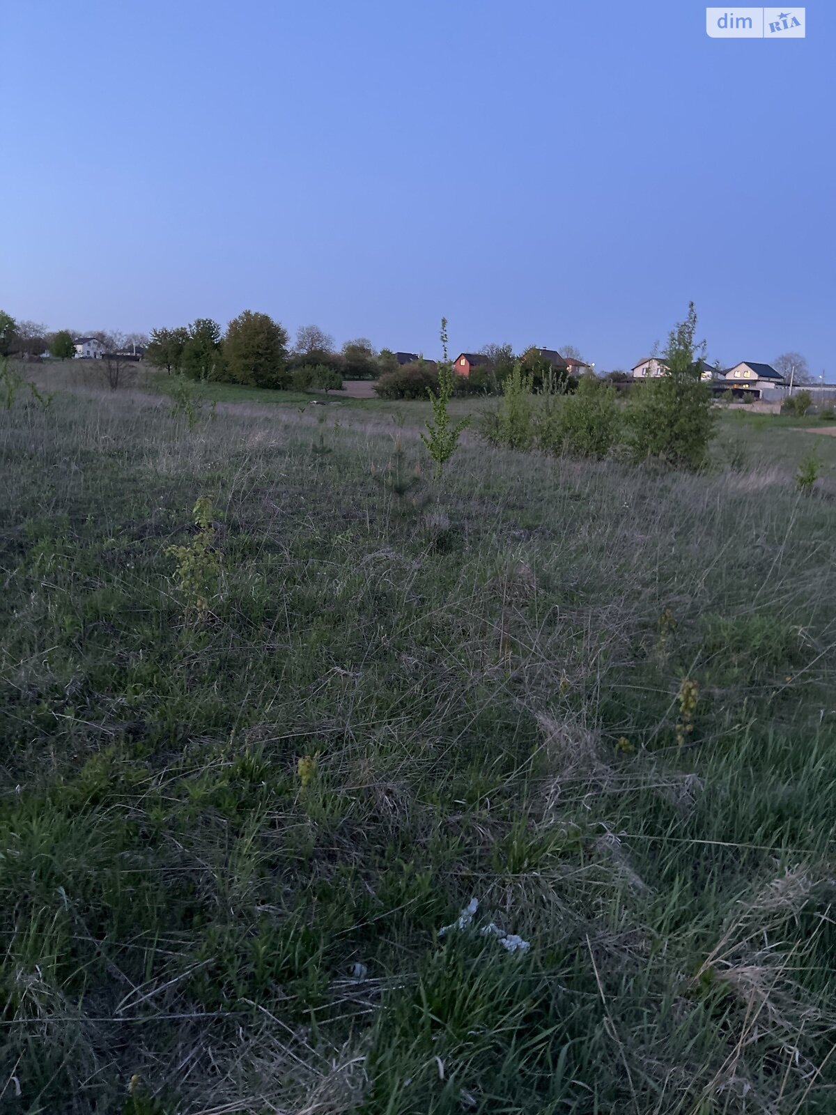 Земельна ділянка сільськогосподарського призначення в Зарванцях, площа 20 соток фото 1 Земельна ділянка сільськогосподарського призначення в Зарванцях, площа 20 соток фото 1