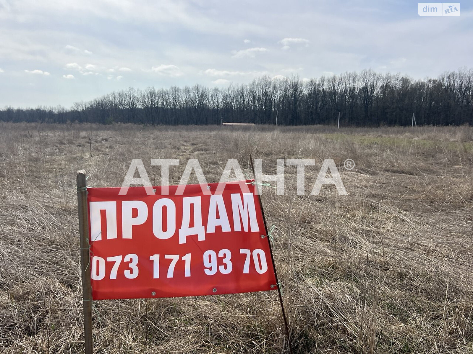 Земельна ділянка сільськогосподарського призначення в Зарванцях, площа 10 соток фото 1 Земельна ділянка сільськогосподарського призначення в Зарванцях, площа 10 соток фото 1