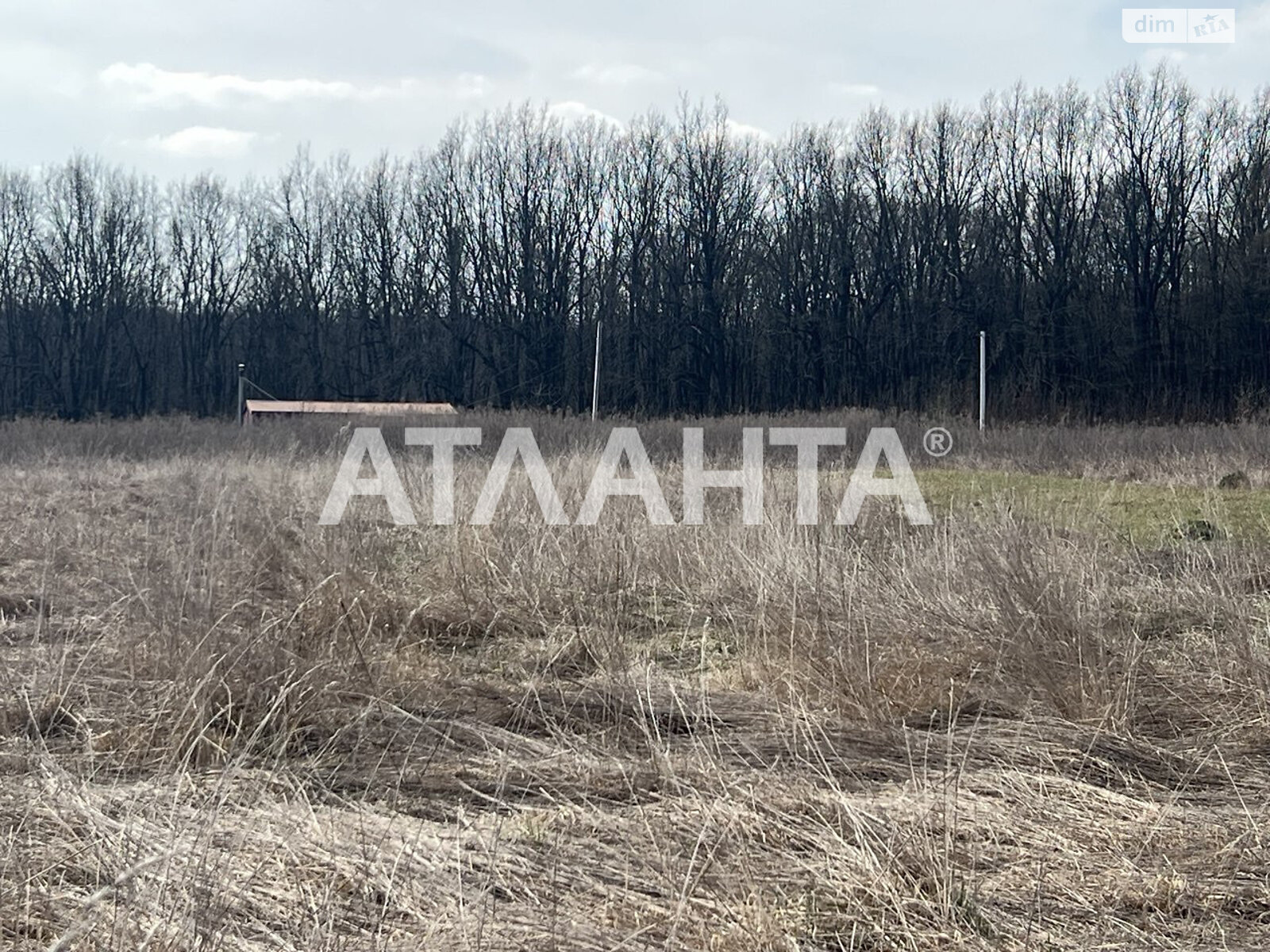 Земельна ділянка сільськогосподарського призначення в Зарванцях, площа 10 соток фото 1 Земельна ділянка сільськогосподарського призначення в Зарванцях, площа 10 соток фото 1