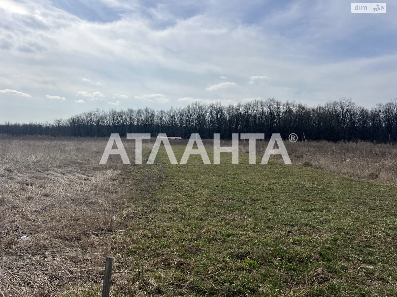 Земельна ділянка сільськогосподарського призначення в Зарванцях, площа 10 соток фото 1 Земельна ділянка сільськогосподарського призначення в Зарванцях, площа 10 соток фото 1