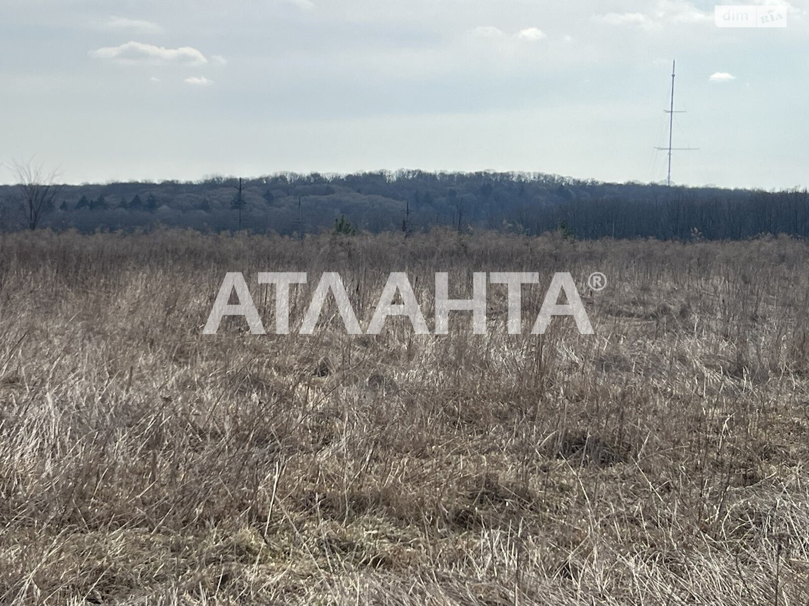 Земельна ділянка сільськогосподарського призначення в Зарванцях, площа 10 соток фото 1 Земельна ділянка сільськогосподарського призначення в Зарванцях, площа 10 соток фото 1