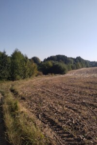 Земельный участок сельскохозяйственного назначения в Зарванцах, площадь 2.7 Га фото 2