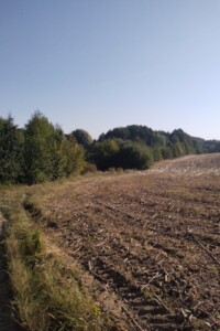 Земельна ділянка сільськогосподарського призначення в Зарванцях, площа 2.7 Га фото 2