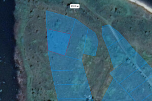 Земельна ділянка сільськогосподарського призначення в Завадові, площа 10 соток фото 1