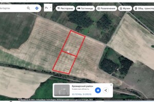 Земельна ділянка сільськогосподарського призначення в Заворичах, площа 200 соток фото 2