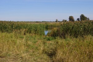 Земельна ділянка сільськогосподарського призначення в Зазим’ї, площа 0.1251 Га фото 2