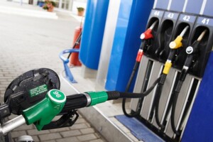 Земельна ділянка сільськогосподарського призначення в Золотих ключах, площа 20 соток фото 2