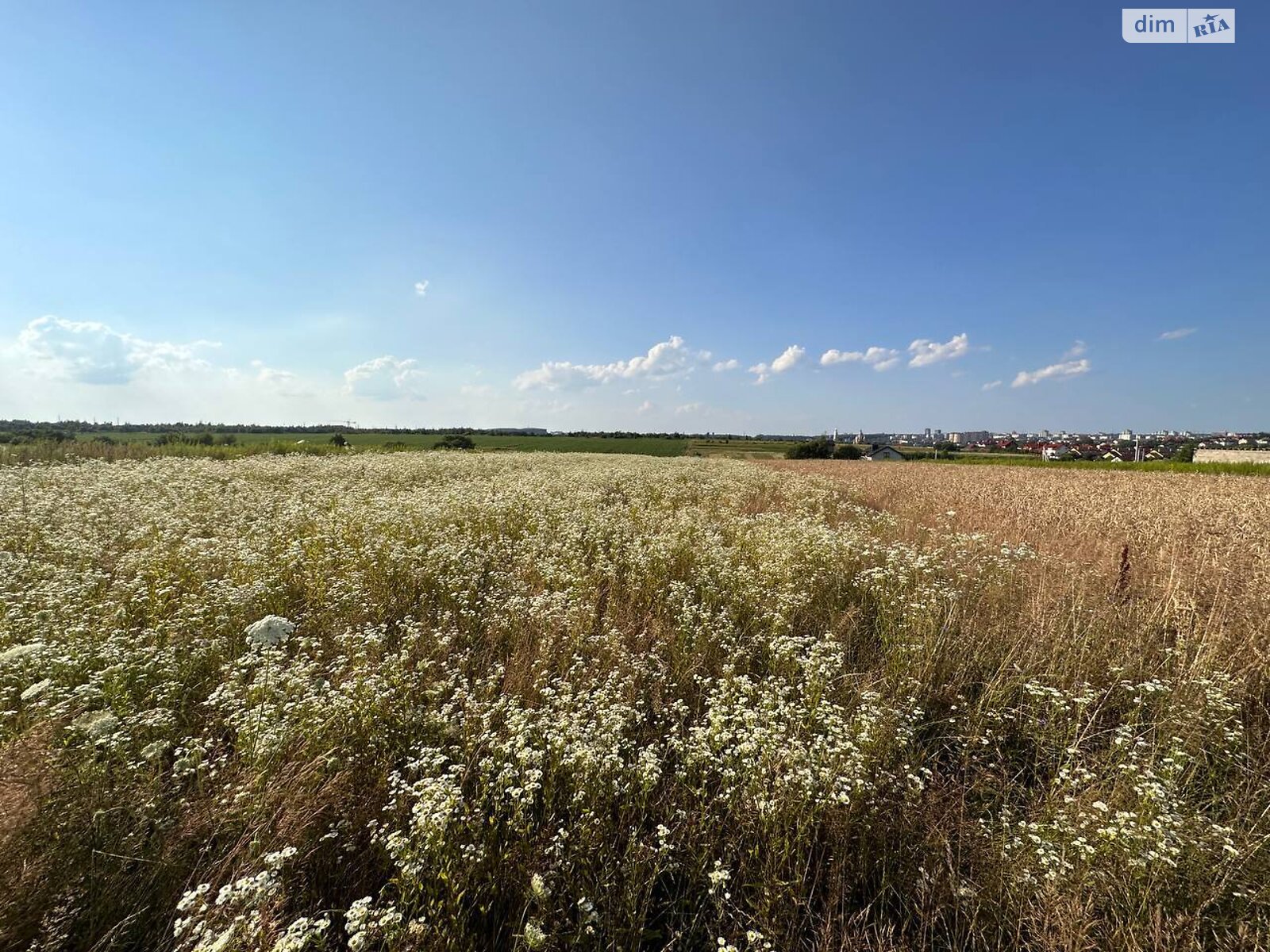 Земельна ділянка сільськогосподарського призначення в Зубрі, площа 20 соток фото 1