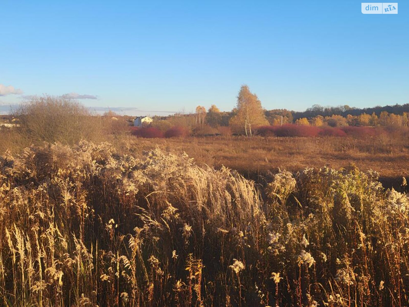 Земельна ділянка сільськогосподарського призначення в Зимна Вода, площа 8 соток фото 1
