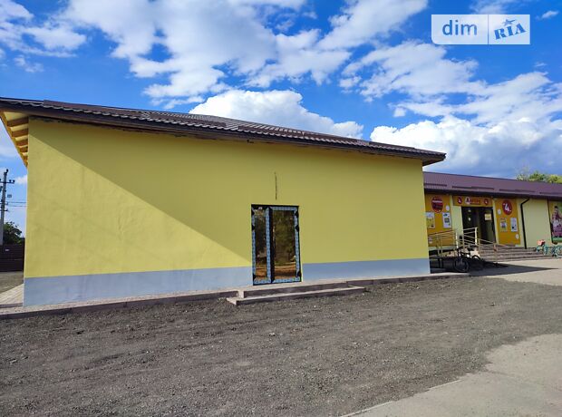 долгосрочная аренда Петра Калнишевського (Ленина) проспект Петриковка Петриковка