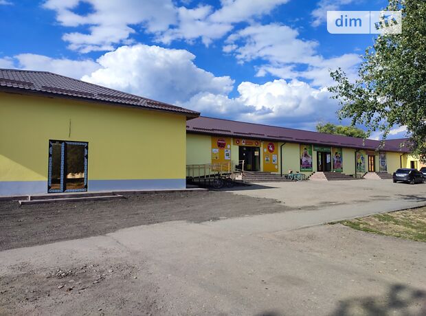 долгосрочная аренда Петра Калнишевського (Ленина) проспект Петриковка Петриковка