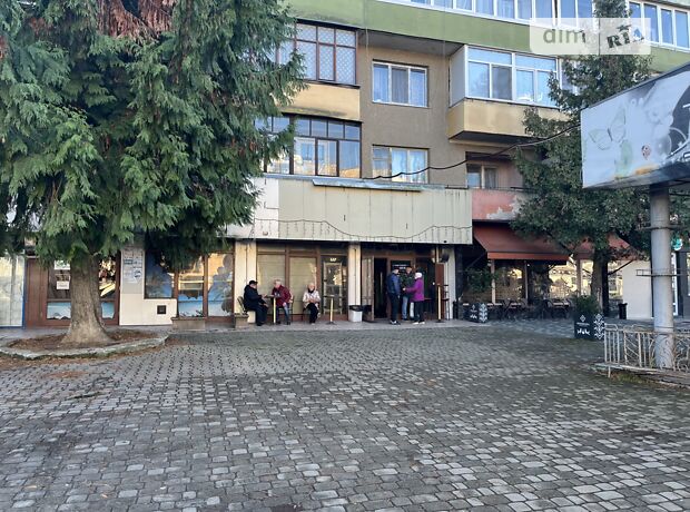 долгосрочная аренда Льва Толстого улица Ужгород Вербнык