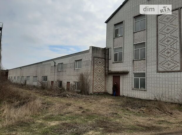 долгосрочная аренда Независимости (Ленина) улица Ладыжин Ладыжин