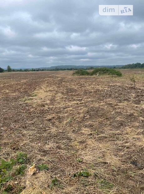 долгосрочная аренда  Болехов 