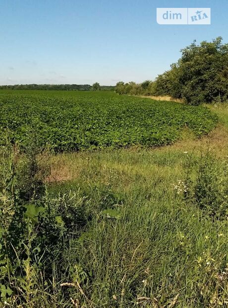 долгосрочная аренда  Константиновка 