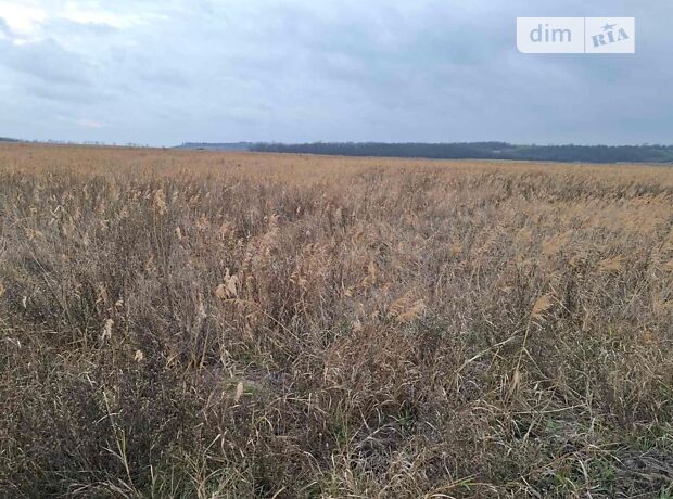 долгосрочная аренда  Юрьевка 