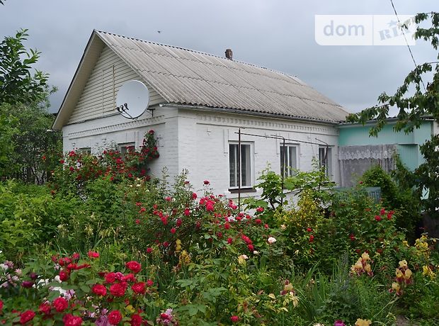 продажа Прорізна вулиця Ставище Ставище