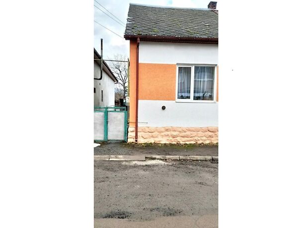 продажа Гожика улица Великий Березный Большой Березный