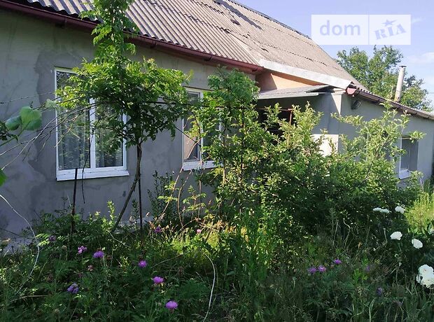 продажа Соленое Башмачка