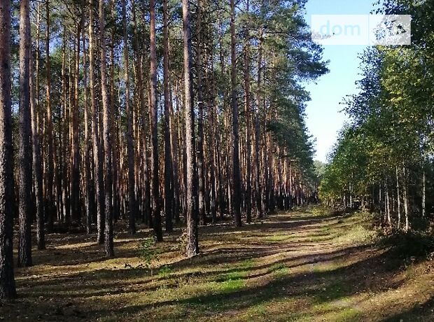 продажа Пушкина Добровеличковка Помошная