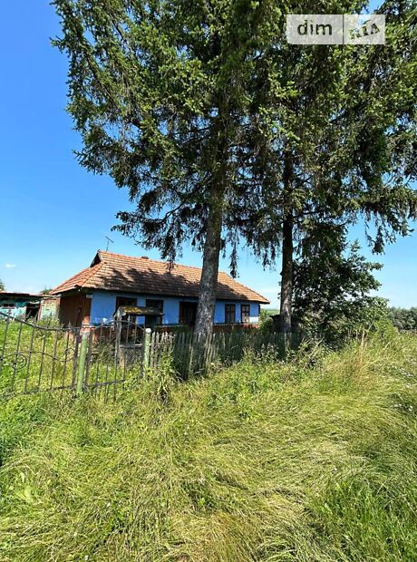 продажа Івасюка Фатовец