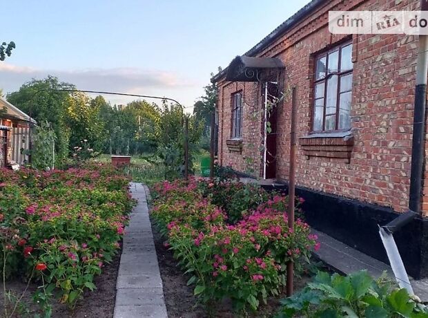 продажа Александра Корнийчука (Сергиенко) улица Кодыма Кодыма