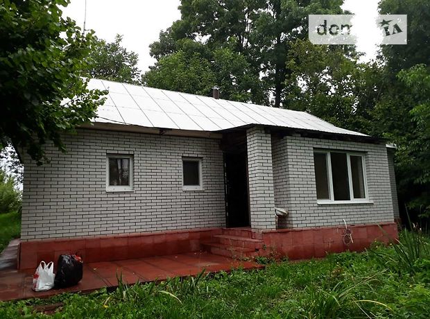 продажа сосни Литин Сосны