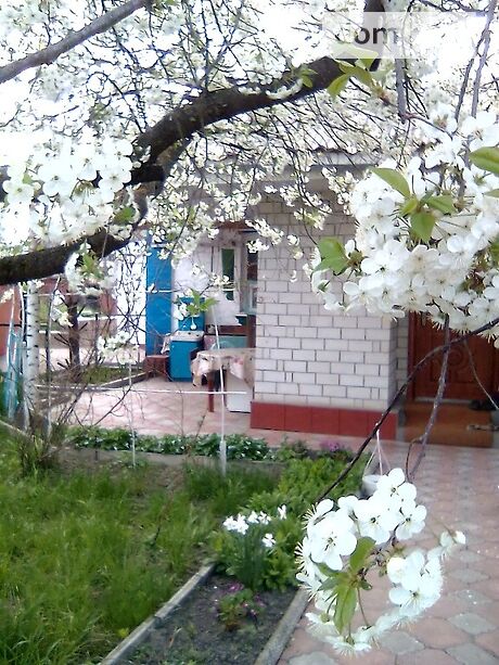 продажа Молодiжна Любар Старая Чертория