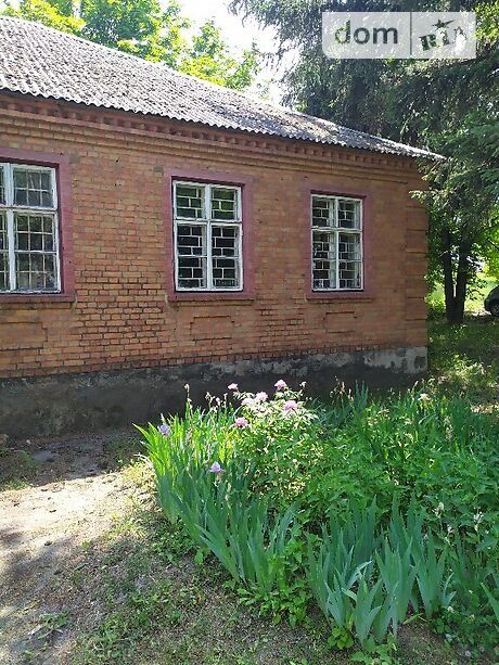 продажа Кохна Станіслава Онуфриевка Павлыш