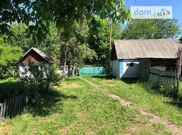 продажа Фруктова Петриковка Чаплинка
