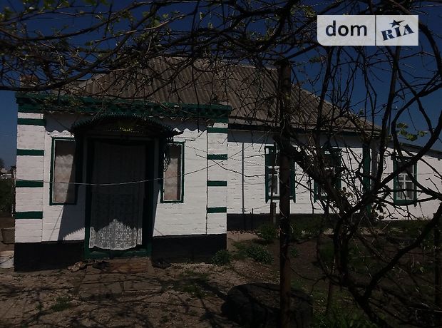 продажа Центральная улица Петриковка
