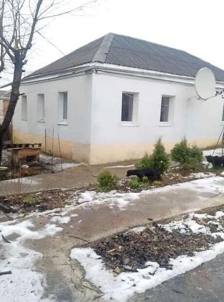продажа Ленина улица Рогань