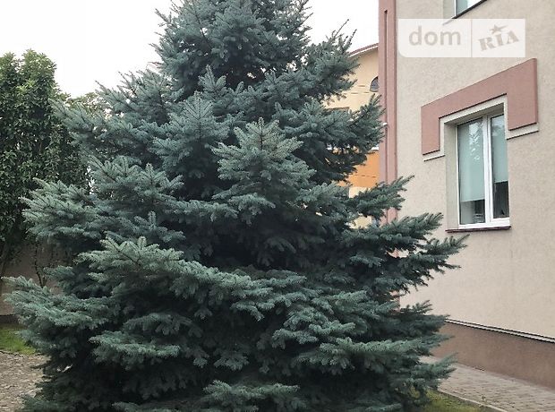 продажа Ровно