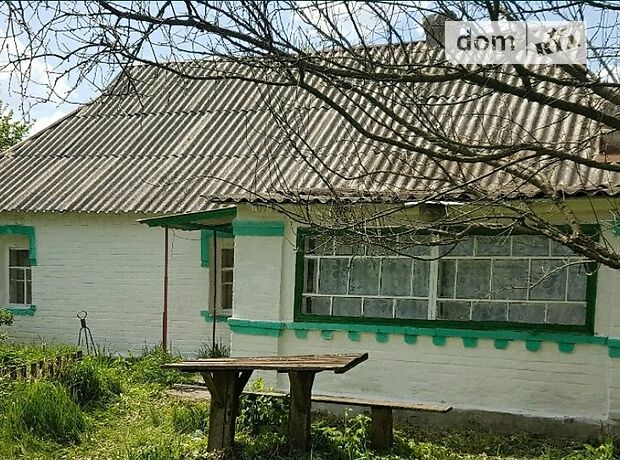 продажа Ружин Малая Чернявка